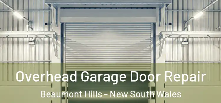 Overhead Garage Door Repair Beaumont Hills - New South Wales