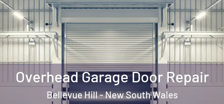 Overhead Garage Door Repair Bellevue Hill - New South Wales