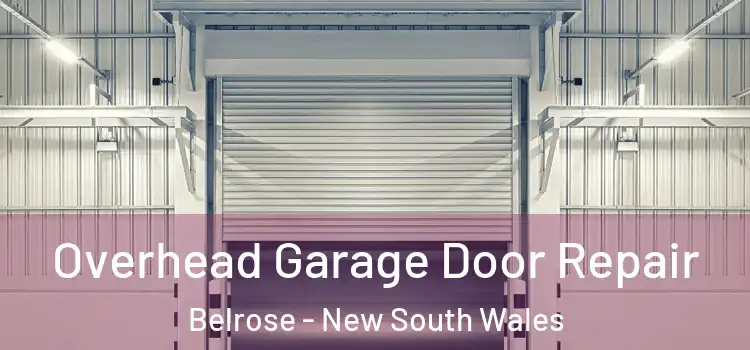 Overhead Garage Door Repair Belrose - New South Wales