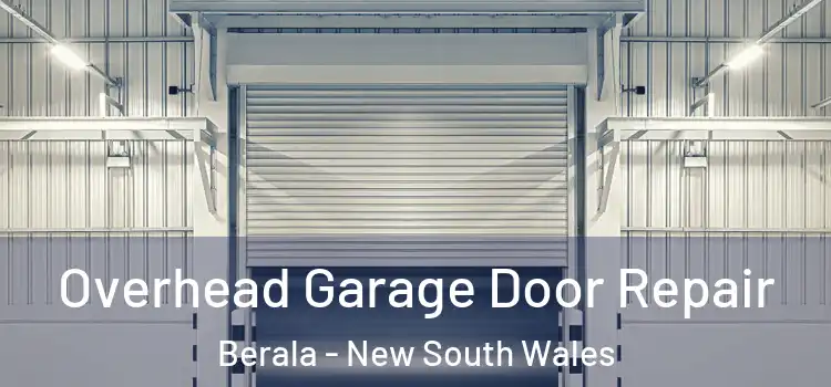Overhead Garage Door Repair Berala - New South Wales