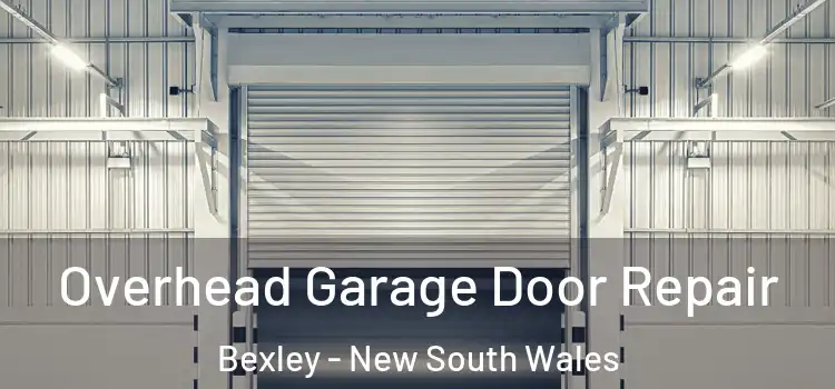 Overhead Garage Door Repair Bexley - New South Wales