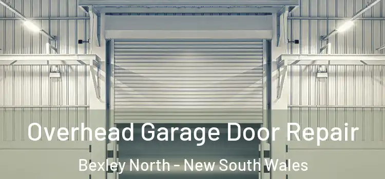 Overhead Garage Door Repair Bexley North - New South Wales