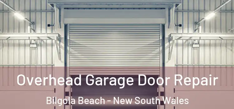 Overhead Garage Door Repair Bilgola Beach - New South Wales