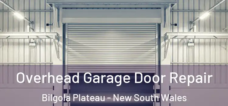 Overhead Garage Door Repair Bilgola Plateau - New South Wales
