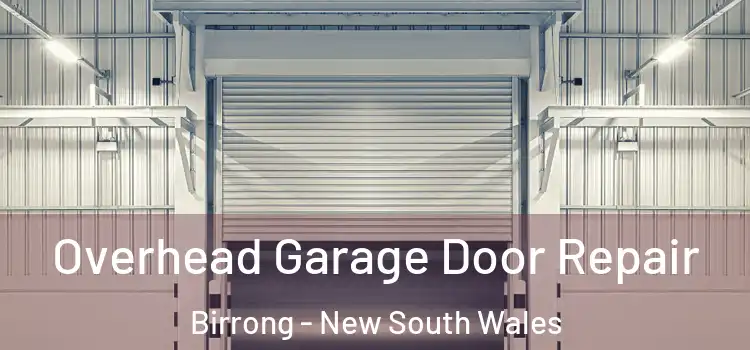 Overhead Garage Door Repair Birrong - New South Wales