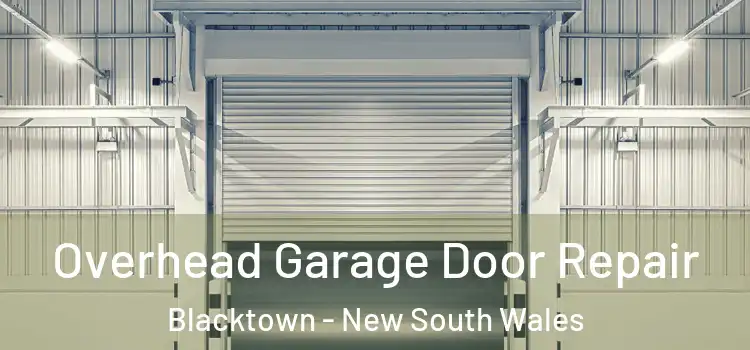 Overhead Garage Door Repair Blacktown - New South Wales