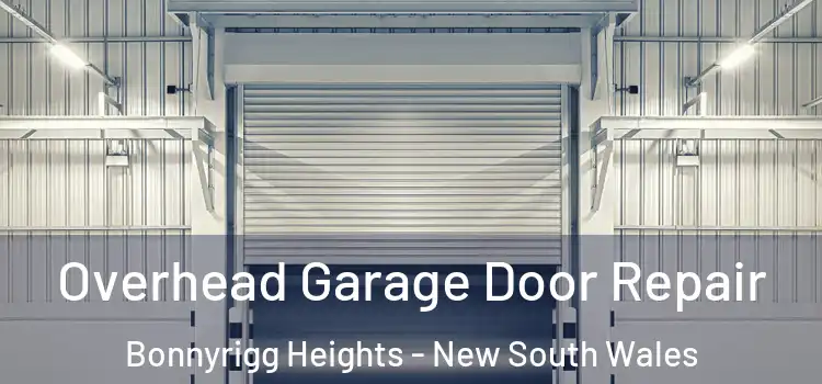Overhead Garage Door Repair Bonnyrigg Heights - New South Wales