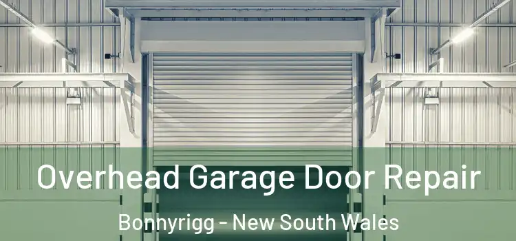 Overhead Garage Door Repair Bonnyrigg - New South Wales