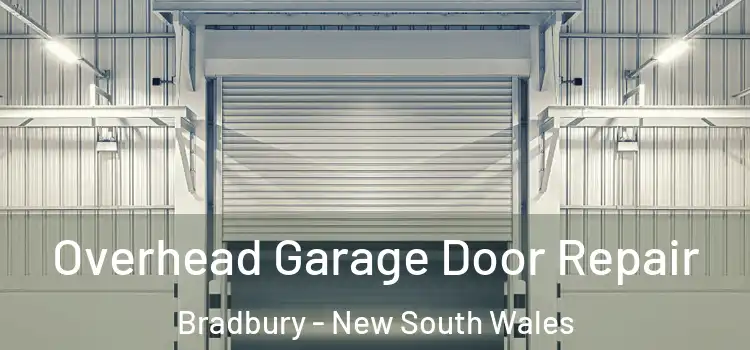 Overhead Garage Door Repair Bradbury - New South Wales