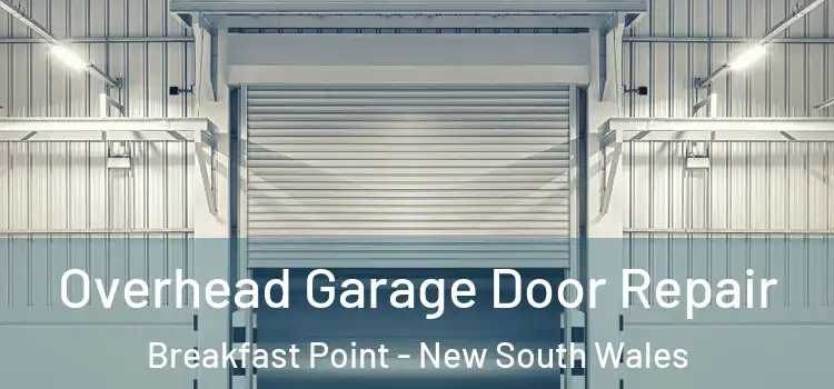 Overhead Garage Door Repair Breakfast Point - New South Wales