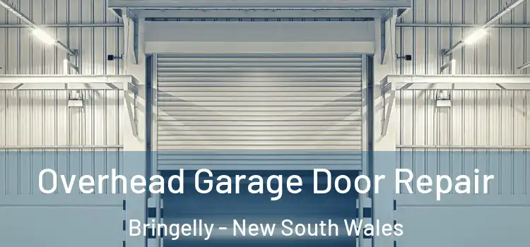 Overhead Garage Door Repair Bringelly - New South Wales