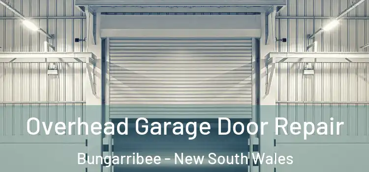 Overhead Garage Door Repair Bungarribee - New South Wales