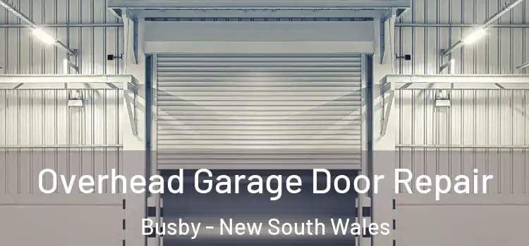 Overhead Garage Door Repair Busby - New South Wales