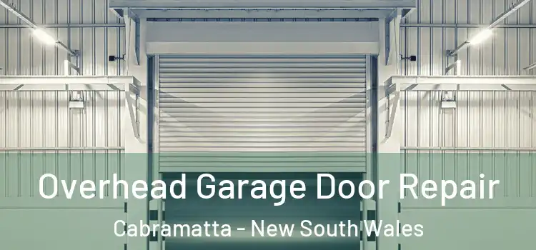 Overhead Garage Door Repair Cabramatta - New South Wales