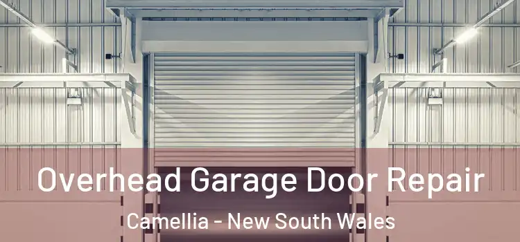 Overhead Garage Door Repair Camellia - New South Wales