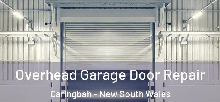 Overhead Garage Door Repair Caringbah - New South Wales