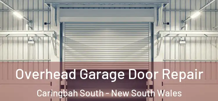 Overhead Garage Door Repair Caringbah South - New South Wales