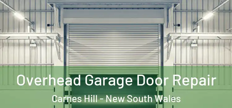 Overhead Garage Door Repair Carnes Hill - New South Wales