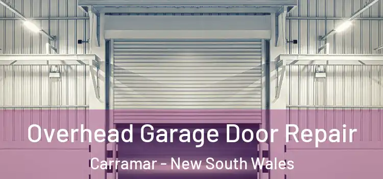 Overhead Garage Door Repair Carramar - New South Wales