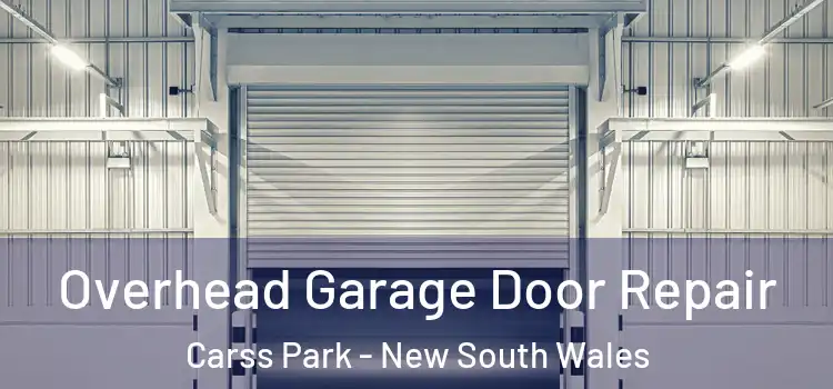 Overhead Garage Door Repair Carss Park - New South Wales