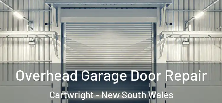 Overhead Garage Door Repair Cartwright - New South Wales