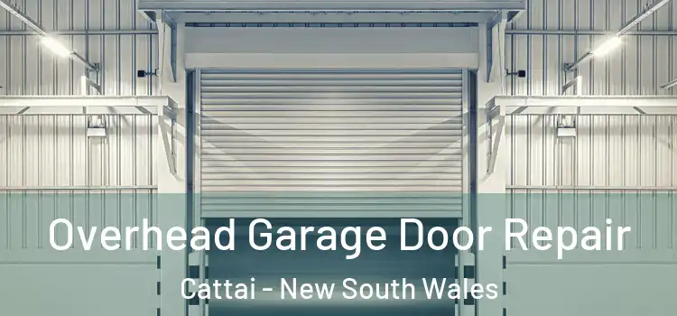 Overhead Garage Door Repair Cattai - New South Wales