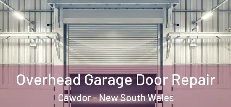 Overhead Garage Door Repair Cawdor - New South Wales
