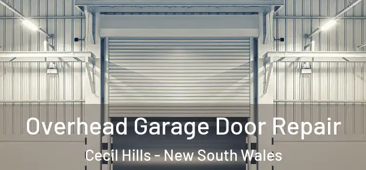 Overhead Garage Door Repair Cecil Hills - New South Wales