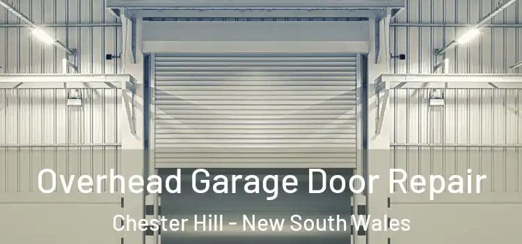 Overhead Garage Door Repair Chester Hill - New South Wales