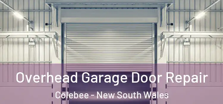 Overhead Garage Door Repair Colebee - New South Wales