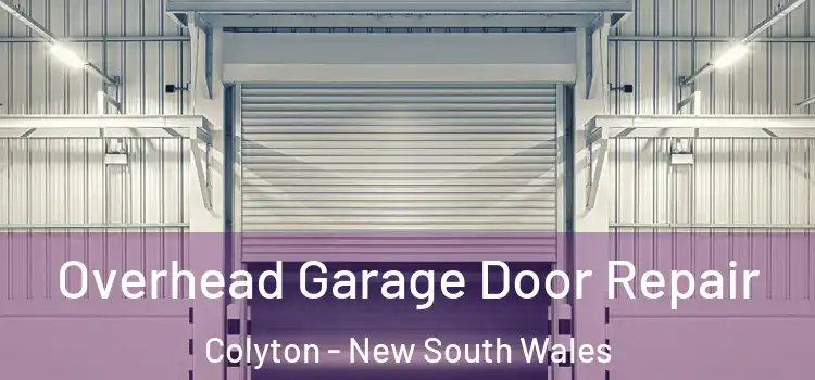 Overhead Garage Door Repair Colyton - New South Wales