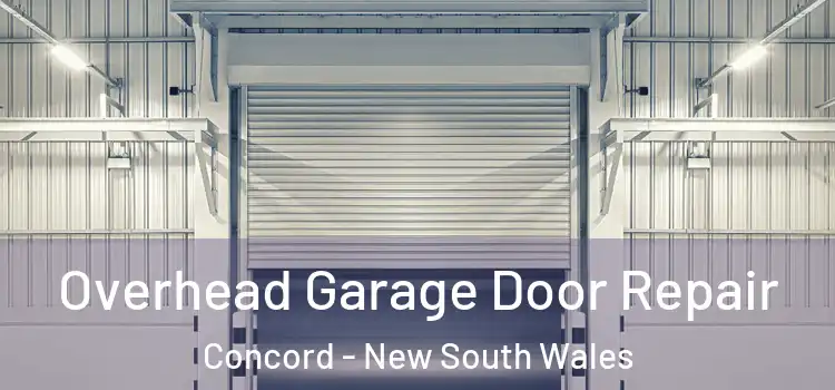 Overhead Garage Door Repair Concord - New South Wales