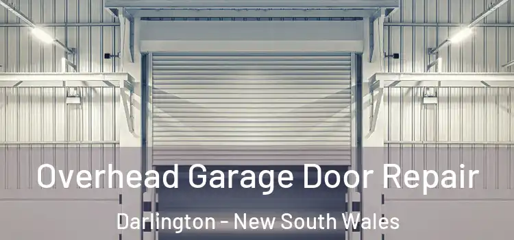 Overhead Garage Door Repair Darlington - New South Wales
