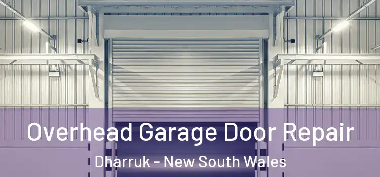 Overhead Garage Door Repair Dharruk - New South Wales