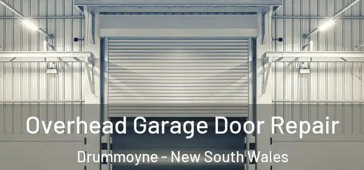 Overhead Garage Door Repair Drummoyne - New South Wales