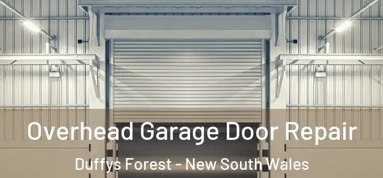 Overhead Garage Door Repair Duffys Forest - New South Wales