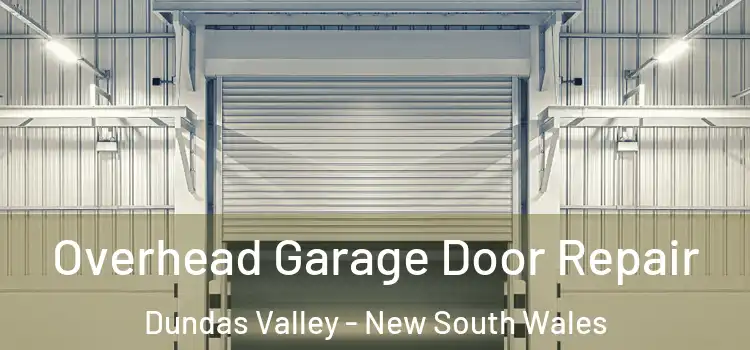 Overhead Garage Door Repair Dundas Valley - New South Wales