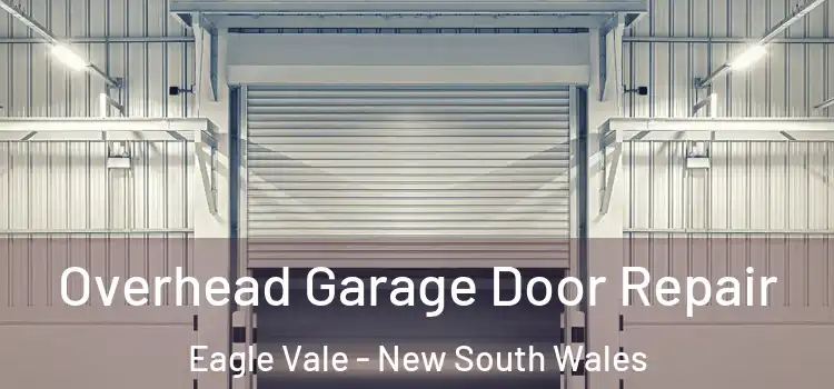 Overhead Garage Door Repair Eagle Vale - New South Wales