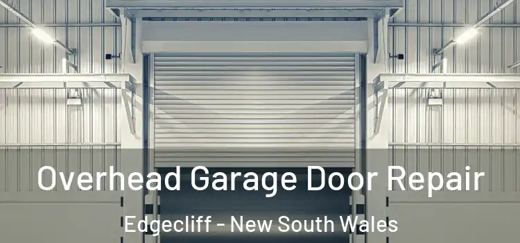 Overhead Garage Door Repair Edgecliff - New South Wales