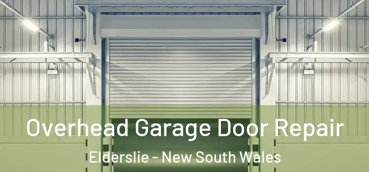 Overhead Garage Door Repair Elderslie - New South Wales