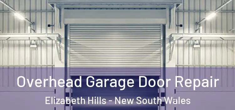 Overhead Garage Door Repair Elizabeth Hills - New South Wales