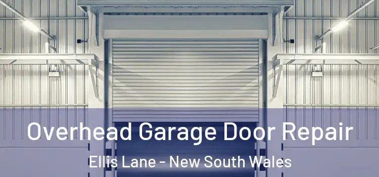 Overhead Garage Door Repair Ellis Lane - New South Wales
