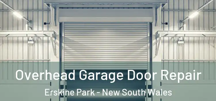 Overhead Garage Door Repair Erskine Park - New South Wales