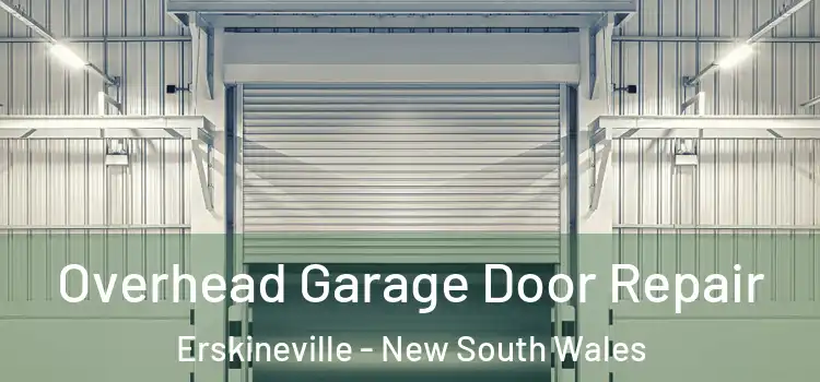 Overhead Garage Door Repair Erskineville - New South Wales