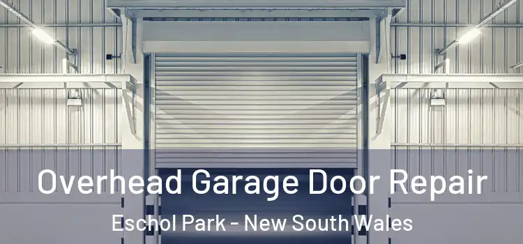 Overhead Garage Door Repair Eschol Park - New South Wales