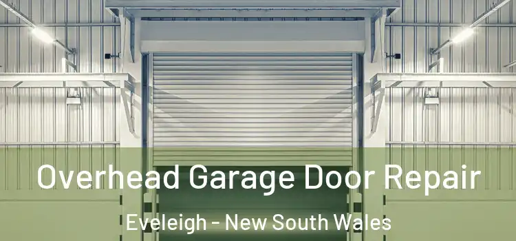 Overhead Garage Door Repair Eveleigh - New South Wales