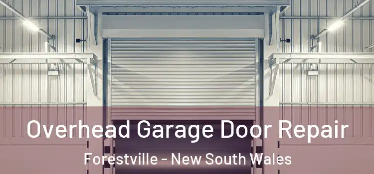 Overhead Garage Door Repair Forestville - New South Wales