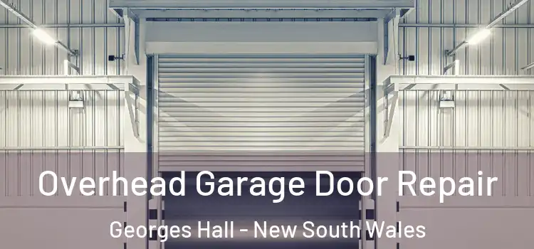 Overhead Garage Door Repair Georges Hall - New South Wales