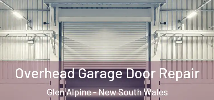 Overhead Garage Door Repair Glen Alpine - New South Wales