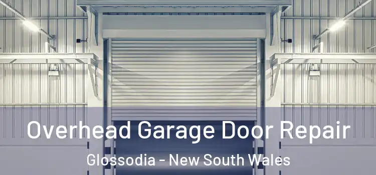 Overhead Garage Door Repair Glossodia - New South Wales